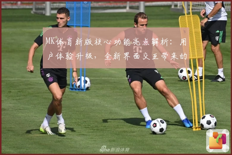 MK体育新版核心功能亮点解析：用户体验升级，全新界面交互带来的实用技巧分享